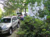 mini-IMG_1492.JPG (221387 bytes)
