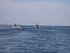 mini-P1010075.JPG (92152 bytes)